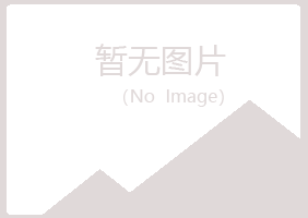 乌海雅山化学有限公司